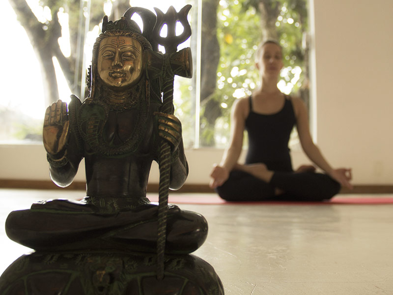 Home - Vidya Yoga and Fitness